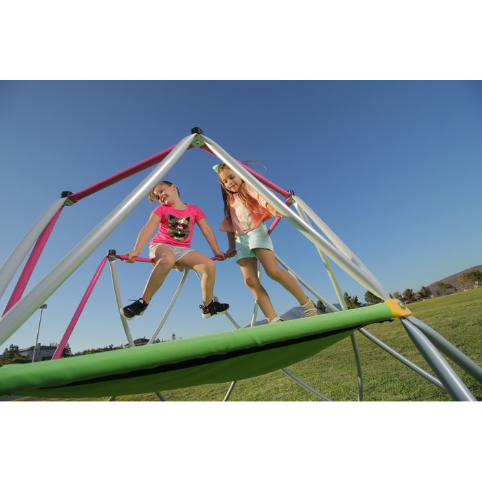 SlideWhizzer Dome Climber and Slide & Reviews Wayfair